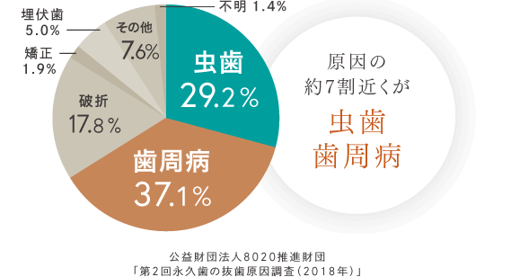 歯を失う原因の約7割近くが虫歯・歯周病