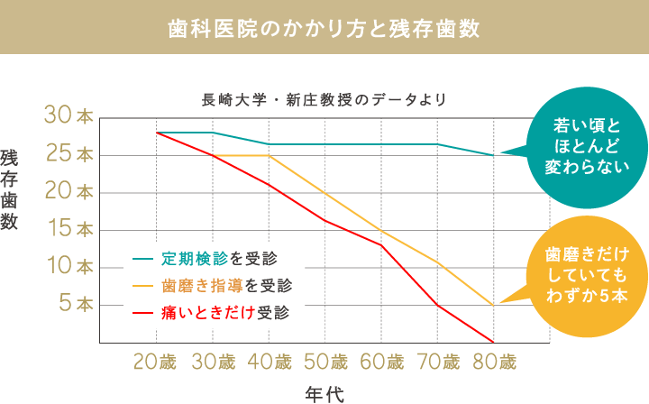 歯科医院のかかり方と残存歯数